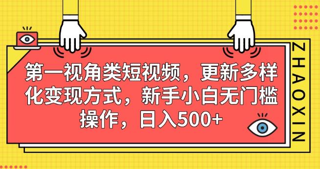 第一视角类短视频，更新多样化变现方式，新手小白无门槛操作，日入500+【揭秘】-文强博客