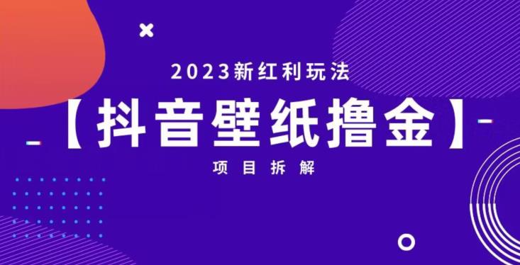 抖音壁纸小程序创作者撸金项目，2023新红利玩法【项目拆解】-文强博客