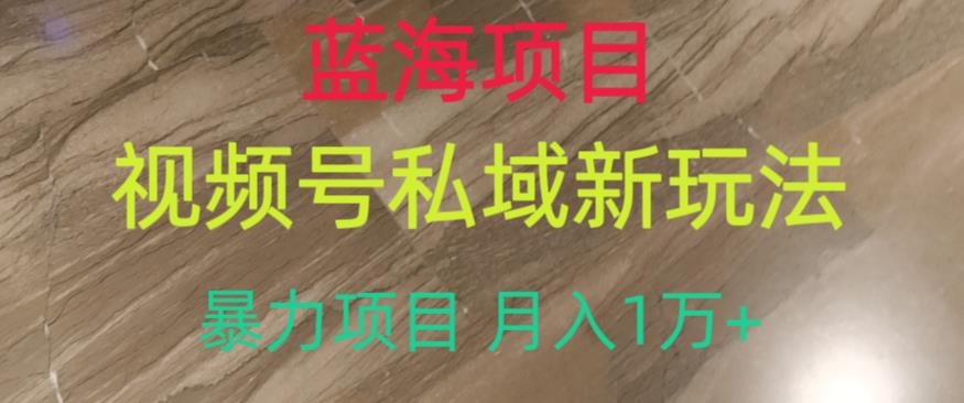 蓝海项目，视频号私域新玩法，暴力项目月入1万+【揭秘】-文强博客