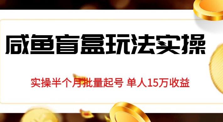 独家首发咸鱼盲盒玩法实操，半个月批量起号单人15万收益【揭秘】-文强博客