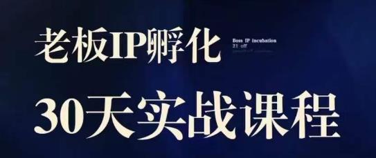 诸葛·2023老板IP实战课，实体同城引流获客，IP孵化必听-文强博客