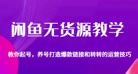 闲鱼无货源教学，教你起号，养号打造爆款链接以及转转的运营技巧-文强博客