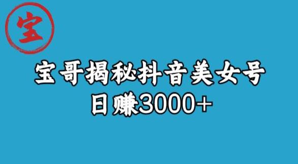 宝哥揭秘抖音美女号玩法，日赚3000+【揭秘】-文强博客