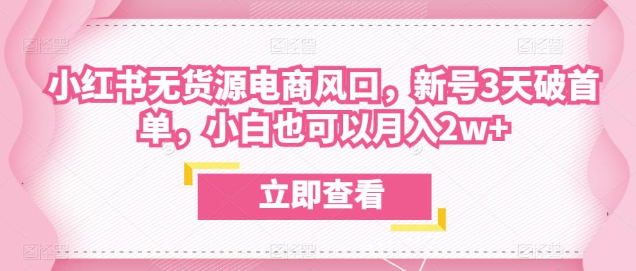 众狼电商余文小红书无货源电商风口，新号3天破首单，小白也可以月入2w+-文强博客