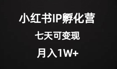 价值2000+的小红书IP孵化营项目，超级大蓝海，七天即可开始变现，稳定月入1W+-文强博客