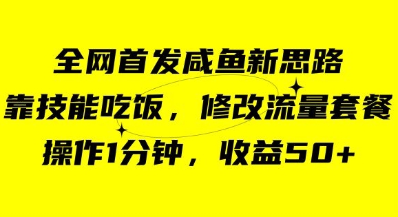 咸鱼冷门新玩法，靠“技能吃饭”，修改流量套餐，操作1分钟，收益50【揭秘】-文强博客