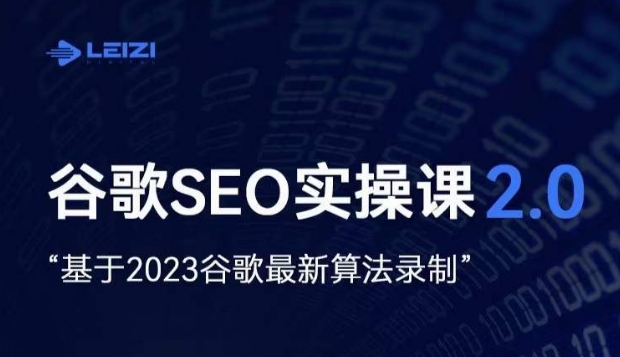 雷子·谷歌SEO 2.0实战课，独立站询盘自由必备，基于2023谷歌最新算法录制-文强博客