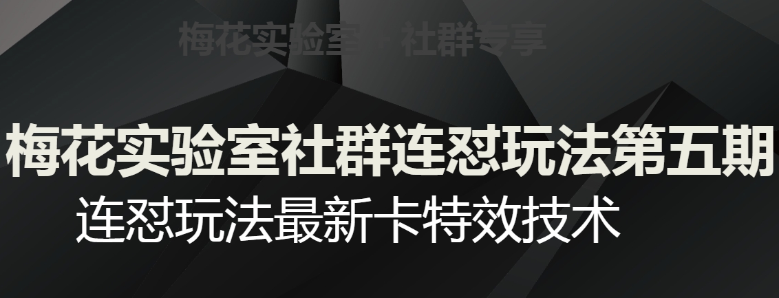 梅花实验室社群连怼玩法第五期，视频号连怼玩法最新卡特效技术-文强博客