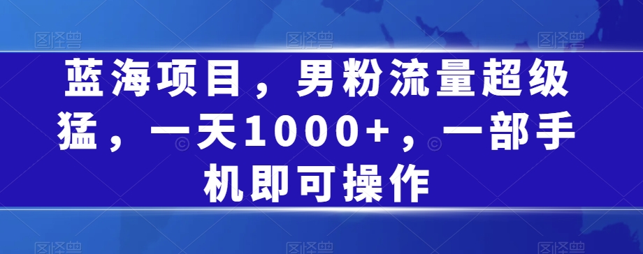 蓝海项目，男粉流量超级猛，一天1000+，一部手机即可操作【揭秘】-文强博客