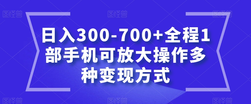 日入300-700+全程1部手机可放大操作多种变现方式【揭秘】-文强博客