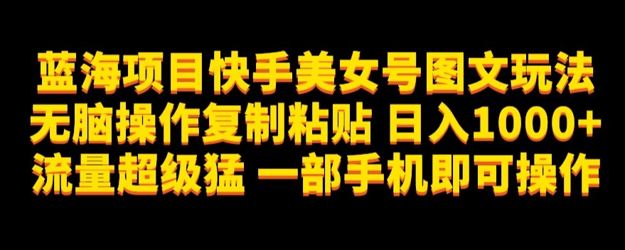 蓝海项目快手美女号图文玩法，无脑操作复制粘贴，日入1000+流量超级猛一部手机即可操作【揭秘】-文强博客