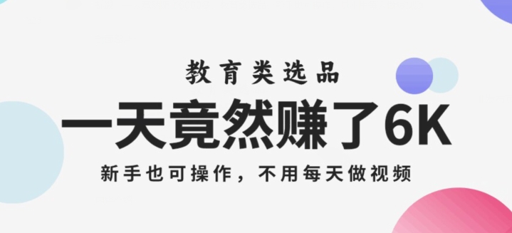 一天竟然赚了6000多，教育类选品，新手也可操作，更不用每天做短视频【揭秘】-文强博客