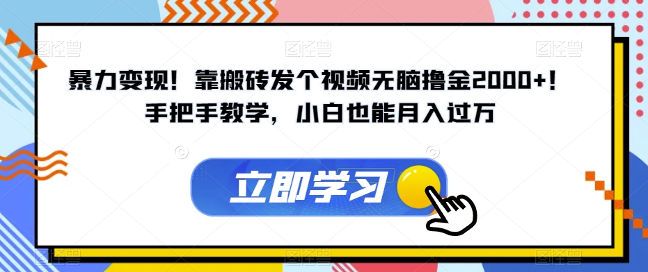 暴力变现！靠搬砖发个视频无脑撸金2000+！手把手教学，小白也能月入过万【揭秘】-文强博客