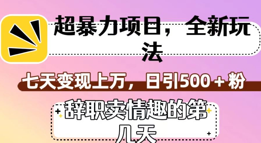 超暴利项目，全新玩法（辞职卖情趣的第几天），七天变现上万，日引500+粉【揭秘】-文强博客