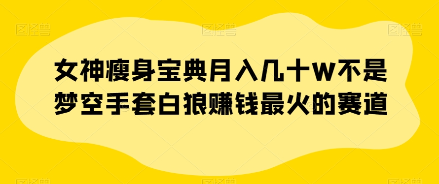 女神瘦身宝典月入几十W不是梦空手套白狼赚钱最火的赛道【揭秘】-文强博客