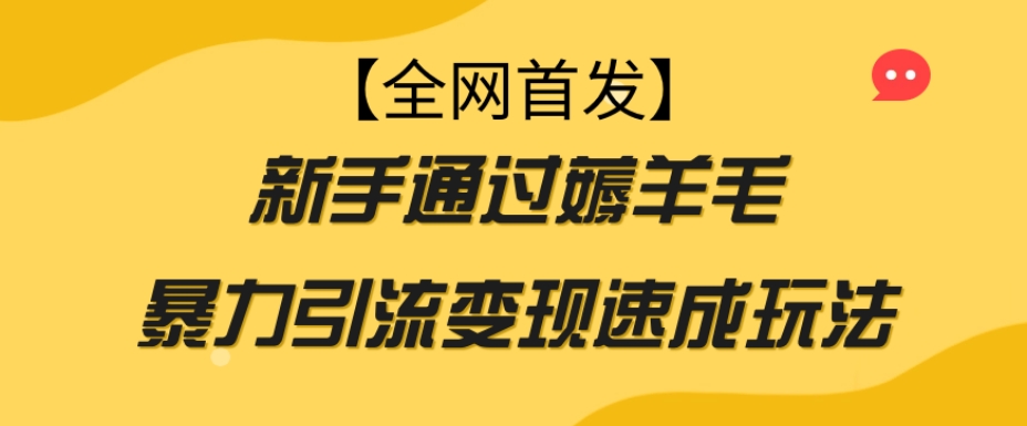 【全网首发】新手通过薅羊毛暴力引流变现速成玩法-文强博客