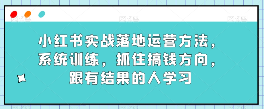 小红书实战落地运营方法，系统训练，抓住搞钱方向，跟有结果的人学习-文强博客