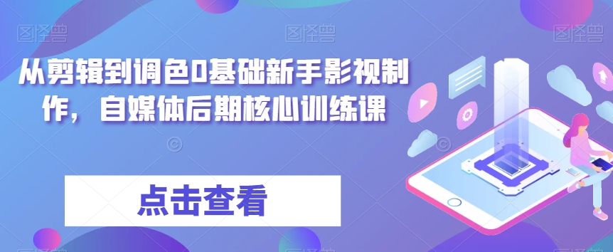 从剪辑到调色0基础新手影视制作，自媒体后期核心训练课-文强博客