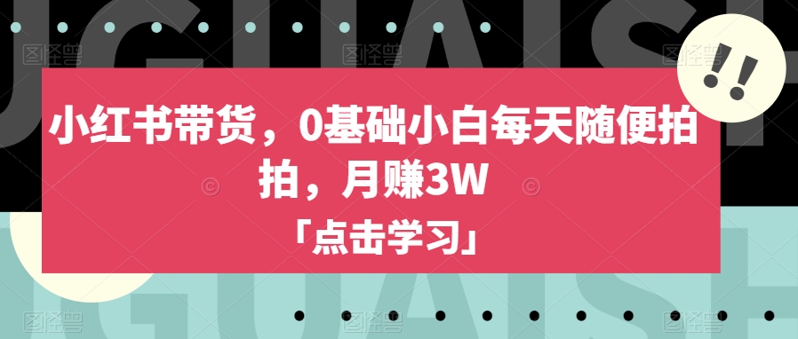 小红书带货，0基础小白每天随便拍拍，月赚3W【揭秘】-文强博客