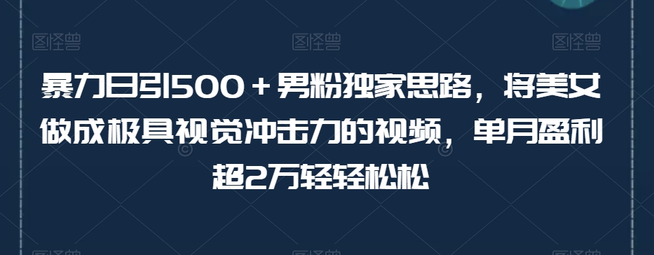 暴力日引500＋男粉独家思路，将美女做成极具视觉冲击力的视频，单月盈利超2万轻轻松松-文强博客