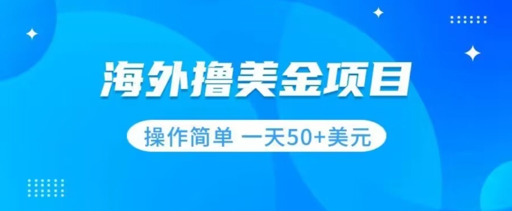 撸美金项目无门槛操作简单小白一天50+美刀-文强博客