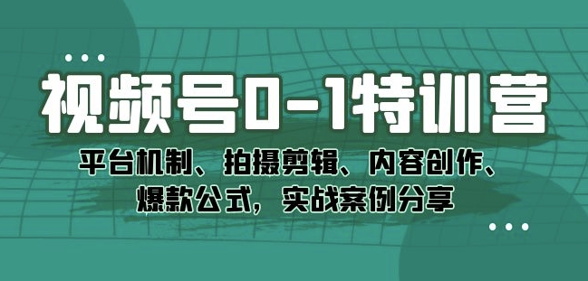 视频号0-1特训营：平台机制、拍摄剪辑、内容创作、爆款公式，实战案例分享-文强博客