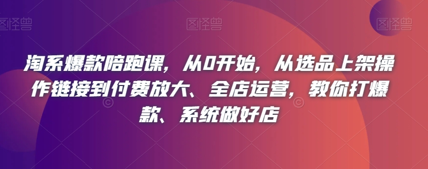 淘系爆款陪跑课，从0开始，从选品上架操作链接到付费放大、全店运营，教你打爆款、系统做好店-文强博客