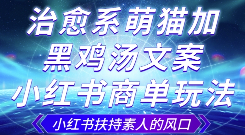 治愈系萌猫加+黑鸡汤文案，小红书商单玩法，3~10天涨到1000粉，一单200左右-文强博客