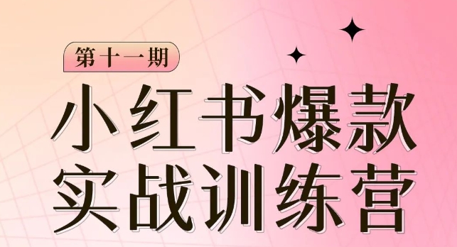 小红书博主爆款训练营第11期，手把手教你从0-1做小红书，从定位到起号到变现-文强博客