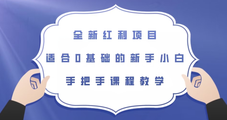 全新红利项目，适合0基础的新手小白，手把手课程教学【揭秘】-文强博客