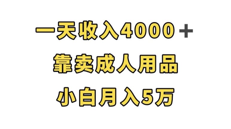 一天收入4000+，靠卖成人用品，小白轻松月入5万【揭秘】-文强博客