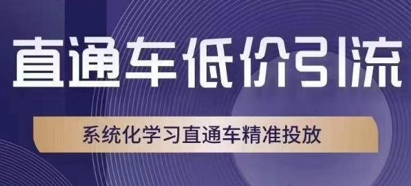 直通车低价引流课，系统化学习直通车精准投放-文强博客