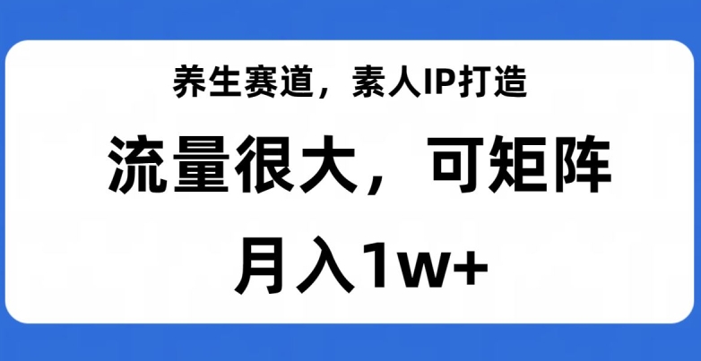 养生赛道，素人IP打造，流量很大，可矩阵，月入1w+【揭秘】-文强博客