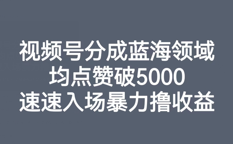 视频号分成蓝海领域，均点赞破5000，速速入场暴力撸收益-文强博客