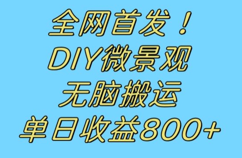 全网首发冷门赛道！DIY微景观，无脑搬运视频，日收益800+【揭秘】-文强博客