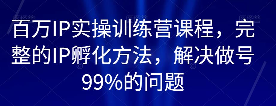 百万IP实操训练营课程，完整的IP孵化方法，解决做号99%的问题-文强博客