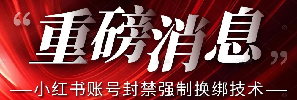 【最新】小红书账号封禁强制换绑技术可日赚300-文强博客