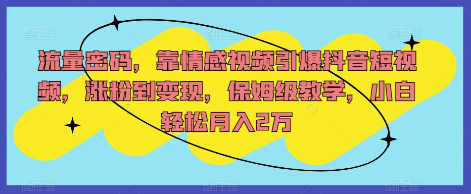 流量密码，靠情感视频引爆抖音短视频，涨粉到变现，保姆级教学，小白轻松月入2万【揭秘】-文强博客