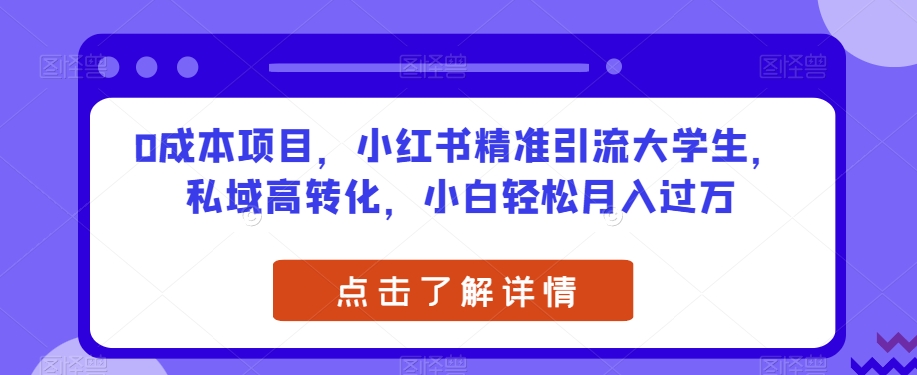 0成本项目，小红书精准引流大学生，私域高转化，小白轻松月入过万【揭秘】-文强博客