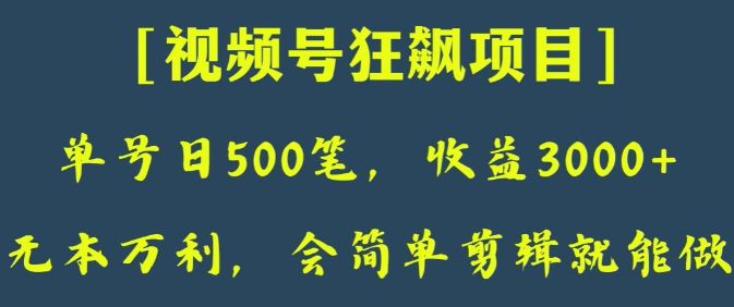 日收款500笔，纯利润3000+，视频号狂飙项目，会简单剪辑就能做【揭秘】-文强博客