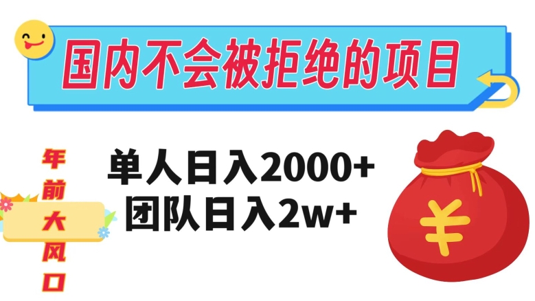 在国内不怕被拒绝的项目，单人日入2000，团队日入20000+【揭秘】-文强博客