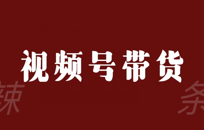 视频号带货联盟，赚信息差的带货钱，只需手机随时随地都可以做！-文强博客