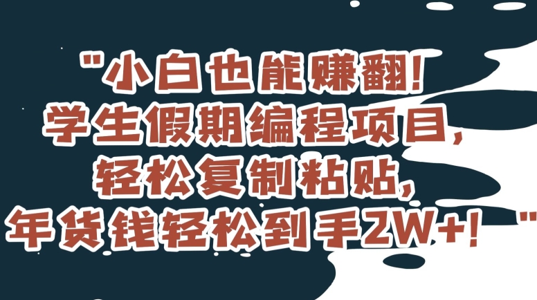 小白也能赚翻！学生假期编程项目，轻松复制粘贴，年货钱轻松到手2W+【揭秘】-文强博客