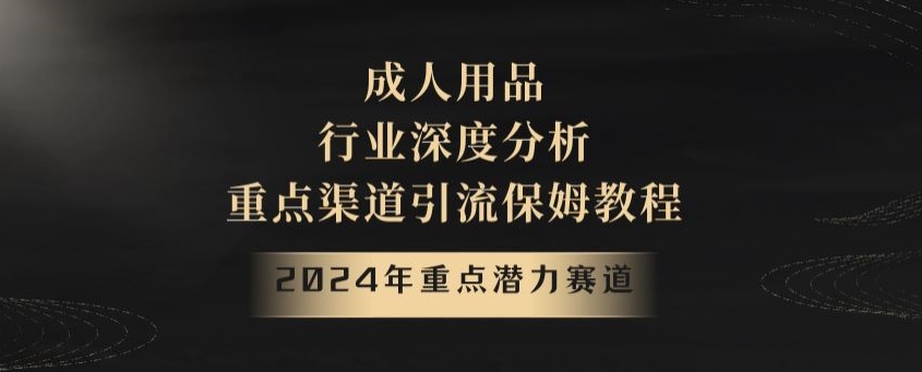 2024年重点潜力赛道，成人用品行业深度分析，重点渠道引流保姆教程【揭秘】-文强博客