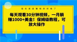 每天观看30分钟视频，一月躺赚1000+美金！保姆级教程，可放大操作【揭秘】-文强博客