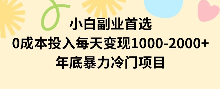 小白副业首选，0成本投入，每天变现1000-2000年底暴力冷门项目【揭秘】-文强博客