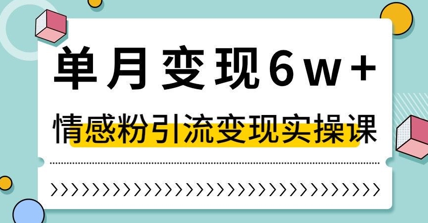 单月变现6W+，抖音情感粉引流变现实操课，小白可做，轻松上手，独家赛道【揭秘】-文强博客