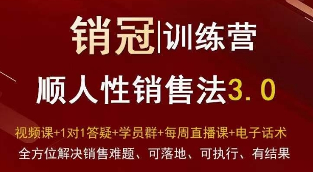 爆款！销冠训练营3.0之顺人性销售法，全方位解决销售难题、可落地、可执行、有结果-文强博客