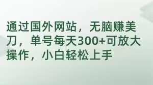 通过国外网站，无脑赚美刀，单号每天300+可放大操作，小白轻松上手【揭秘】-文强博客