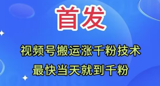 全网首发：视频号无脑搬运涨千粉技术，最快当天到千粉【揭秘】-文强博客